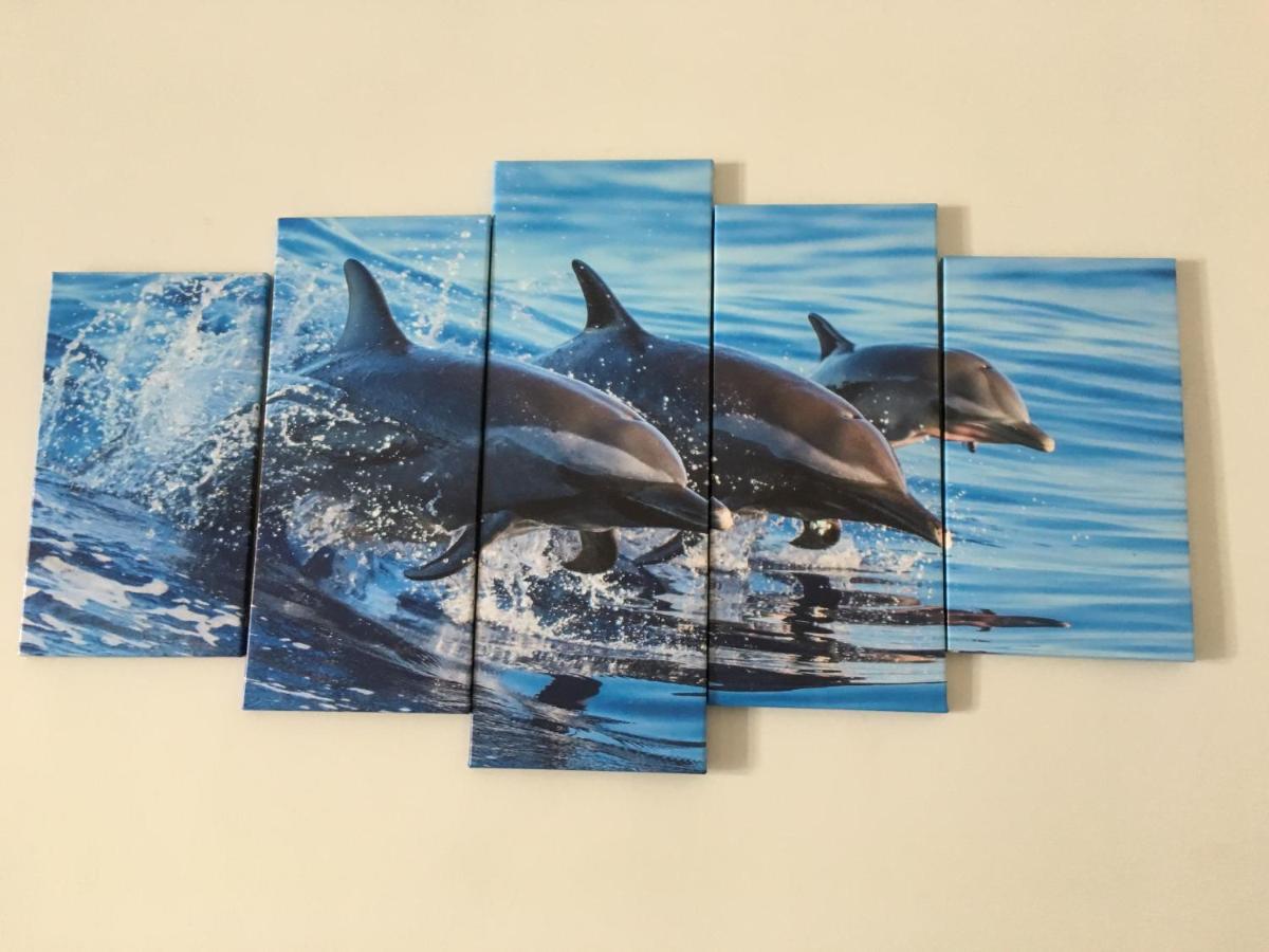 Dolphin Maeva Residencial Villa Puerto Peñasco Dış mekan fotoğraf